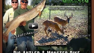 Big Antlers And Tools For Better Deer Hunting