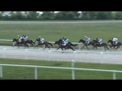 2017.06.03. 2. futam - WINDSOR HENDIKEP (V.o.) I. rész (szintetikus pálya)