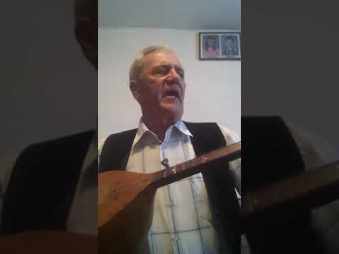 PORANILE   MLADE  ZETALICE  KRAJ STUDENE  VODE MOSCANICE