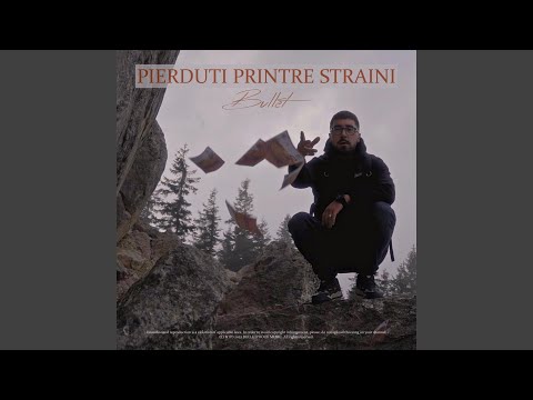 Pierduti printre straini