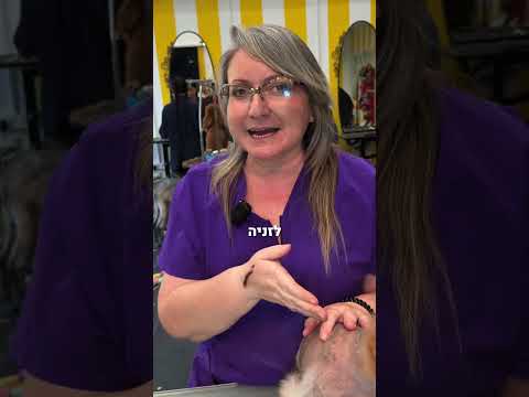 רוצים לאמץ את לזניה ? שלחו הודעה 📩