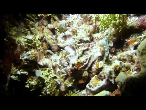 Indonesien 2014- Sunshine, Sangihe,Indonesien