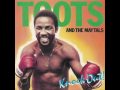 Toots and The Maytals - I'm A Big Man
