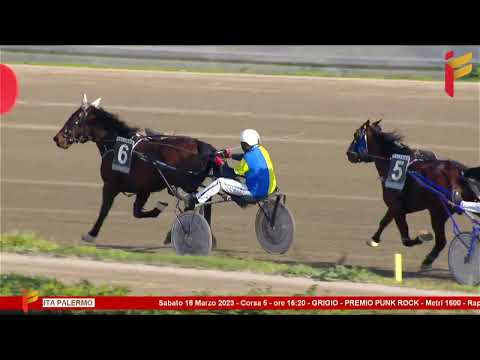 V Corsa del 18 marzo 2023 - 4 Anni -  Metri 1600 - Gentlemen