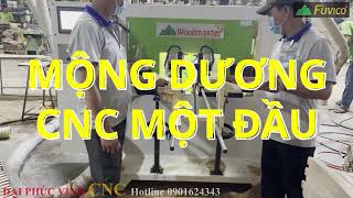 Mộng dương cnc một đầu Woodmaster Trung Quốc quá tuyệt vời WM-150NC. Hai bàn làm liên tiếp.