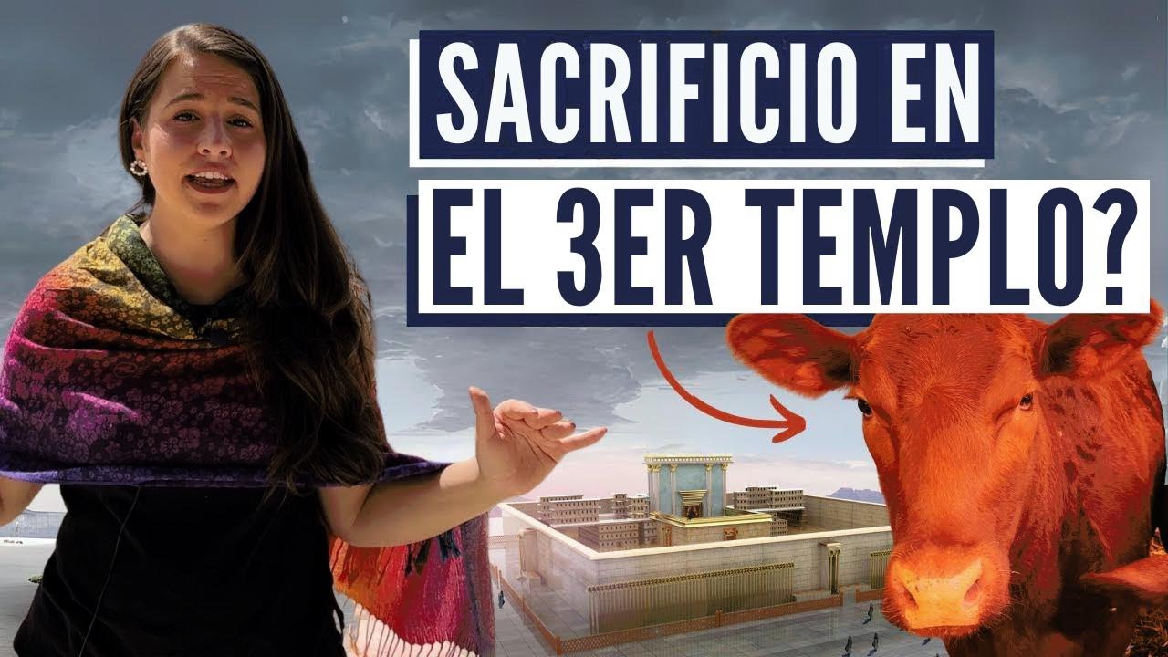 LAS NOVILLAS ROJAS ESTÁN EN ISRAEL?! (Descubre la Primera Capital de la Tierra Santa!)