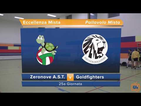 Sintesi Zeronove A.S.T. - Goldfighters