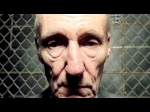 Göldin & Bit-tuner - Aquariumfisch