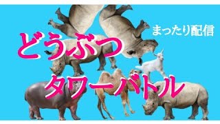 【どうぶつタワーバトル】まったりやってんよー【参加OK】
