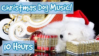The Best Christmas Therapy Music for Dogs! Calming Music for Dogs with Classic Christmas Songs! 🎅🐶
