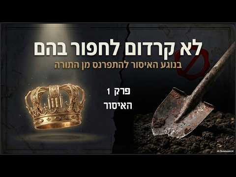 תצוגת סרטון