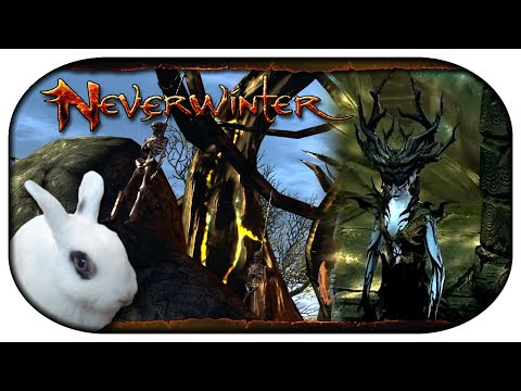 NEVERWINTER: Paladin-LP 🐇 174 - Der Galgenbaum und Nostura
