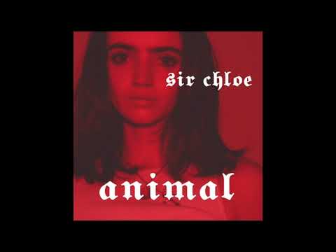 Sir Chloe - Animal