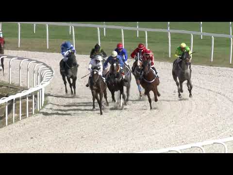 2020.09.27. 04. futam - MUKAB HENDIKEP (V.o.) (szintetikus pálya)