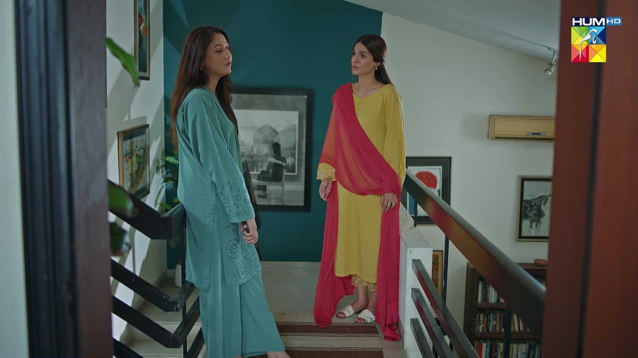 2 Bhaiyon Mein Kiyun Nafrat Paida Kar Rahi Ho..? #meribahuain - HUM TV