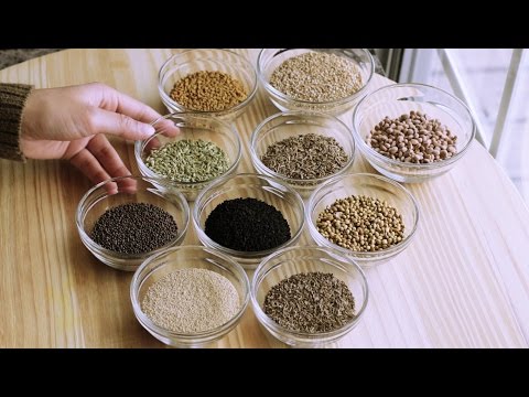 download lagu mp3 mp4 10 Spices, download lagu 10 Spices gratis, unduh video klip 10 Spices