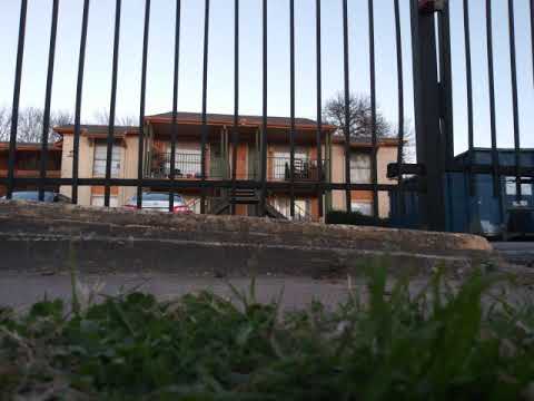 Adrenalina al 100./.