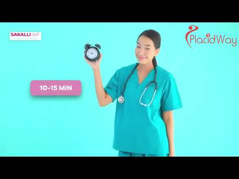 Logo of The Complete Guide to the In Vitro Fertilization (IVF) Process: A Step-by-Step Journey