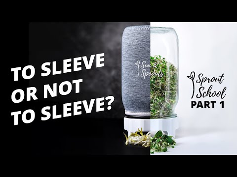 Sprout School Part 1 - Simple First Steps to Start Sprouting with a Jar Kit