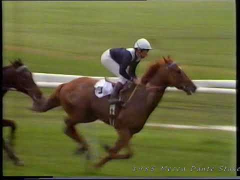 1985 Mecca Dante Stakes Damister Inc Replay