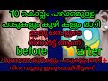 This is a Miracle Result|| open pores and marks remove easily || this is the best remedy This is a Miracle Result|| open pores and marks remove easily || this is the best remedy