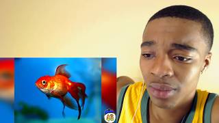 50 Lies That You Still Believe REACTION!