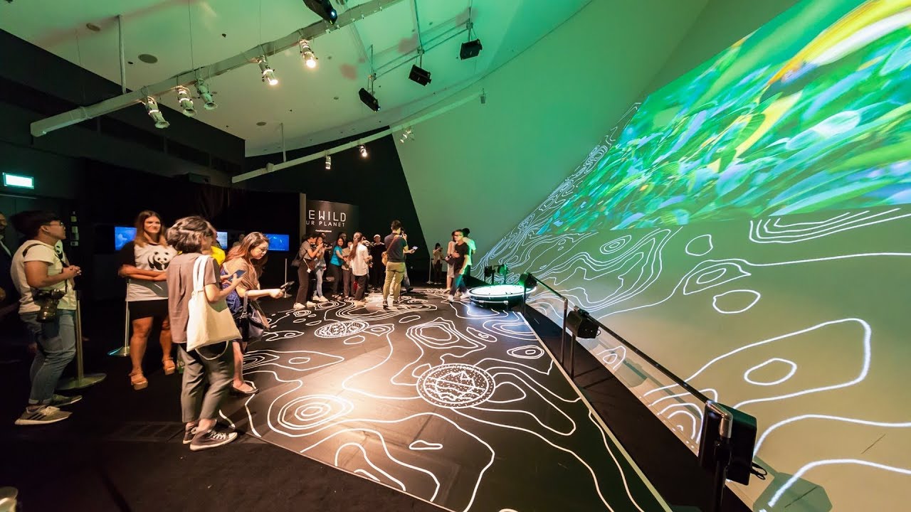 Rewild Our Planet: a social augmented reality experience | Arup