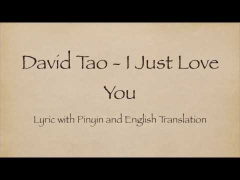 David Tao 陶喆 - I Just Love You 就是爱你 with Pinyin and English Translation