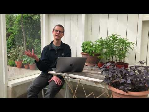 Joogan seisova pöytä