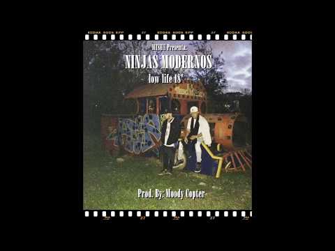 MISHE - NINJAS MODERNOS