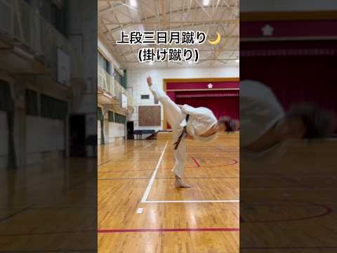琉球空手道上段三日月蹴り#琉球空手 #沖縄空手 #空手 #空手道 #karatedo #karate #トレーニング #技紹介 #martialarts #突き技 #武道 #kick