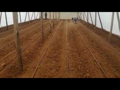 Greenhouse  Land Preparation