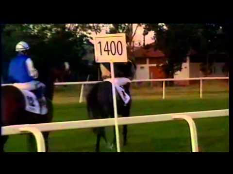 91  Magyar Derby   Mayday