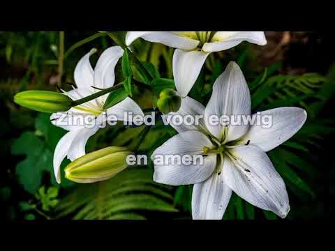 Opwekking 876 Voor altijd heilig 1B