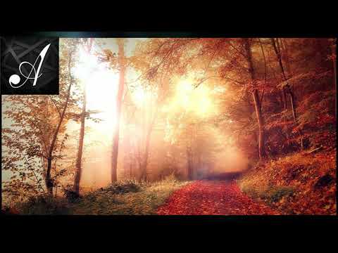 Instru Type PNL x MMZ  - "Lointain"