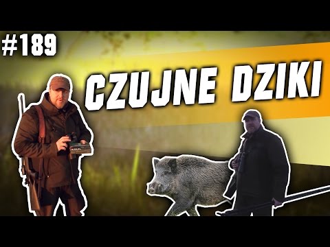 Darz Bór odc. 189 - Czujne dziki