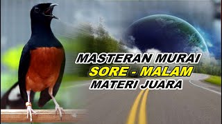 Download lagu 🔴 LIVE 22 - Masteran Murai Batu Malam Hari Full Isian Tembakan Panjang cocok buat Murai trotol mp3 Download lagu 🔴 LIVE 22 - Masteran Murai Batu Malam Hari Full Isian Tembakan Panjang cocok buat Murai trotol mp3