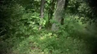preview picture of video 'Bigfoot Sighting in Powhatan, Virginia outside Yard Works'