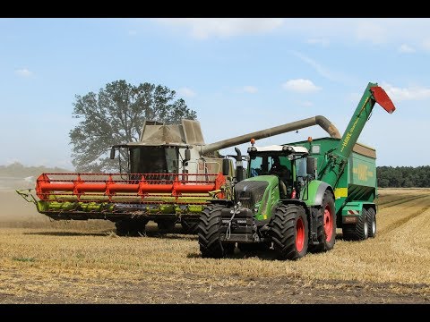 Roggen-Ernte 2019: 2x Claas Lexion 660 I Fendt Vario 930 I HAWE Überladewagen