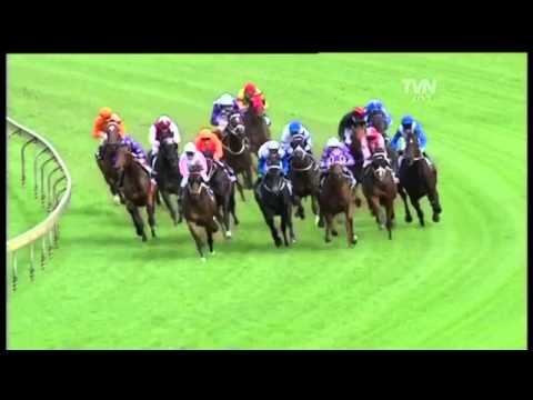 2011 George Ryder Stakes- Rangirangdoo