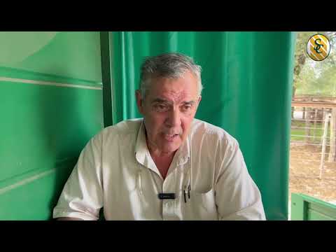 15-02-23 - Luis Biaus - Martillero  - Remate de Pedro y Raúl Alonso Ganados S.A. - Tandil, Bs.As.