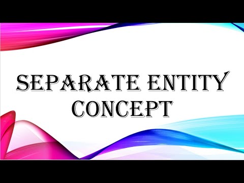 Separate Entity Concept