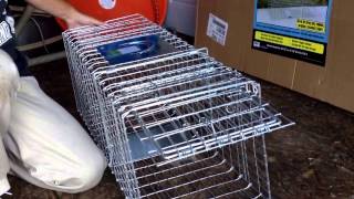 Harbor Freight Two Door Live Animal Trap