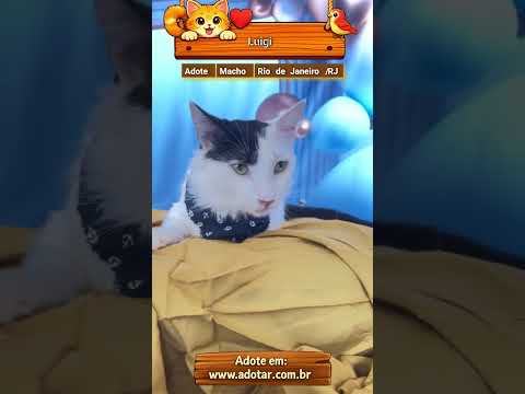 Vídeo de Luigi