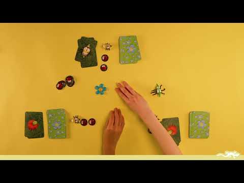 DJ08469 - Game - Mosquito by Djeco - game rules