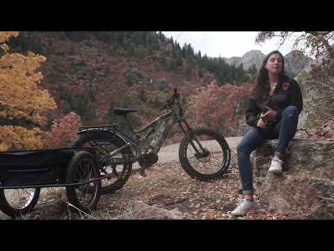 The Truth Behind The Foldable Cargo eBike Trailer