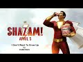 SHAZAM! End Credits Song - I Don't Want To Grow Up by RAMONES