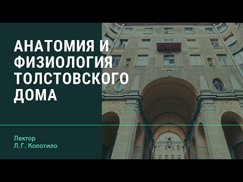 Анатомия и физиология Толстовского дома