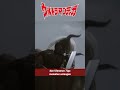 Tahukah Kalian Di Series Ultraman Tiga Episode 16