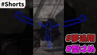 型はめ夢追翔 #shorts